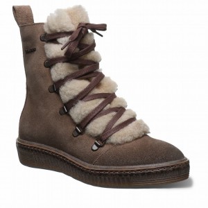 Botas Bearpaw Celeste Mujer Beige | WBN1485ZC