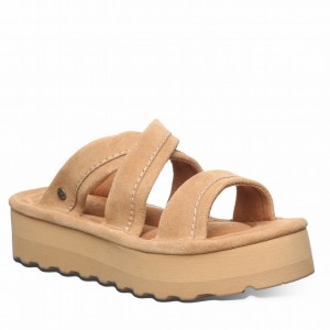 Sandalias Bearpaw Altitude Mujer Marrones | YUN7474XH