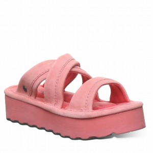 Sandalias Bearpaw Altitude Mujer Rosas | DQX8512VO