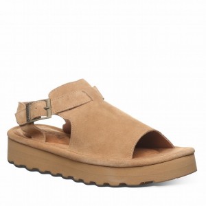 Sandalias Bearpaw Ascend Mujer Marrones | XEK4216JX