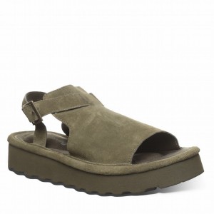 Sandalias Bearpaw Ascend Mujer Verde | RJG8084ZQ