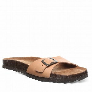 Sandalias Bearpaw Ava Mujer Marrones | LXW8440KD