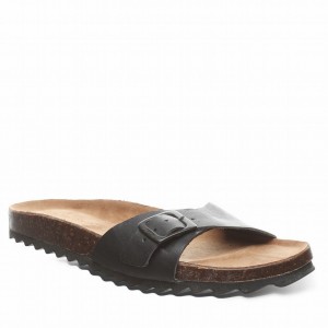 Sandalias Bearpaw Ava Mujer Negras | KJN8088RP