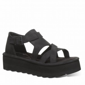 Sandalias Bearpaw Pinnacle Mujer Negras | SUL7922OD