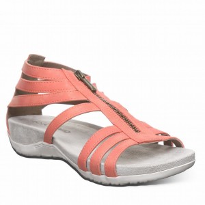 Sandalias Bearpaw Ronda Mujer Rosas | KME5226SV