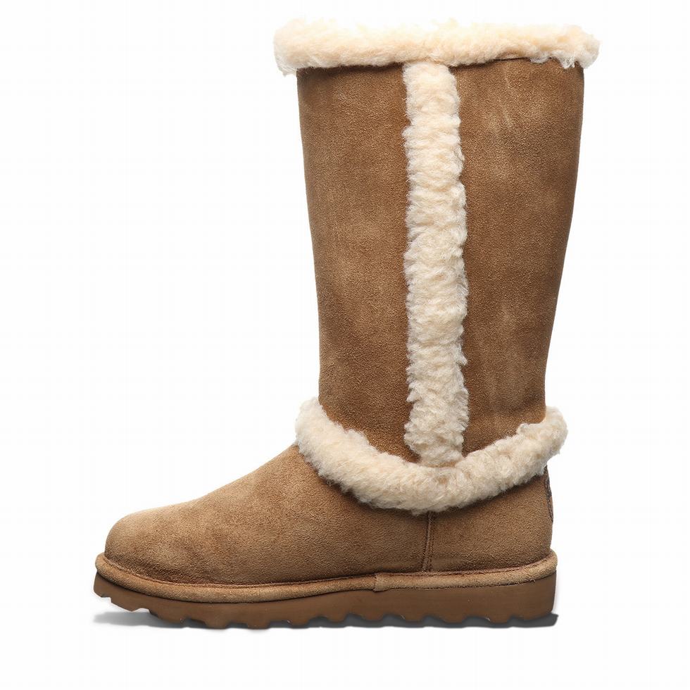 Botas Bearpaw Kendall Mujer Marrones | OTE5744VX