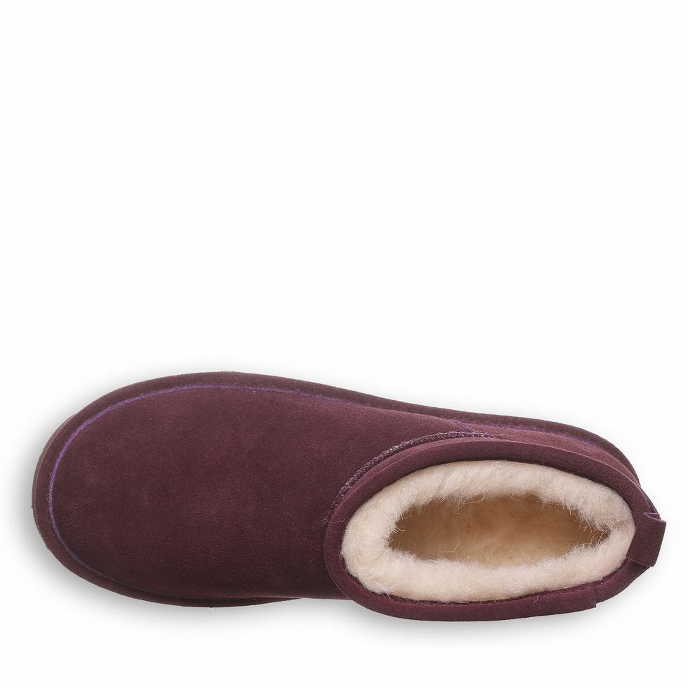 Botas Bearpaw Super Shorty Wide Mujer Moradas | CLR8158YZ