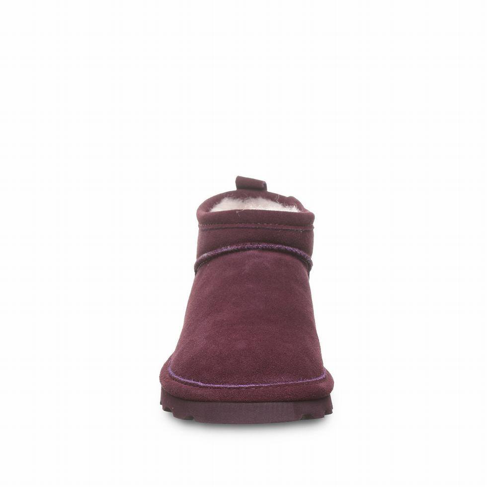 Botas Bearpaw Super Shorty Wide Mujer Moradas | CLR8158YZ