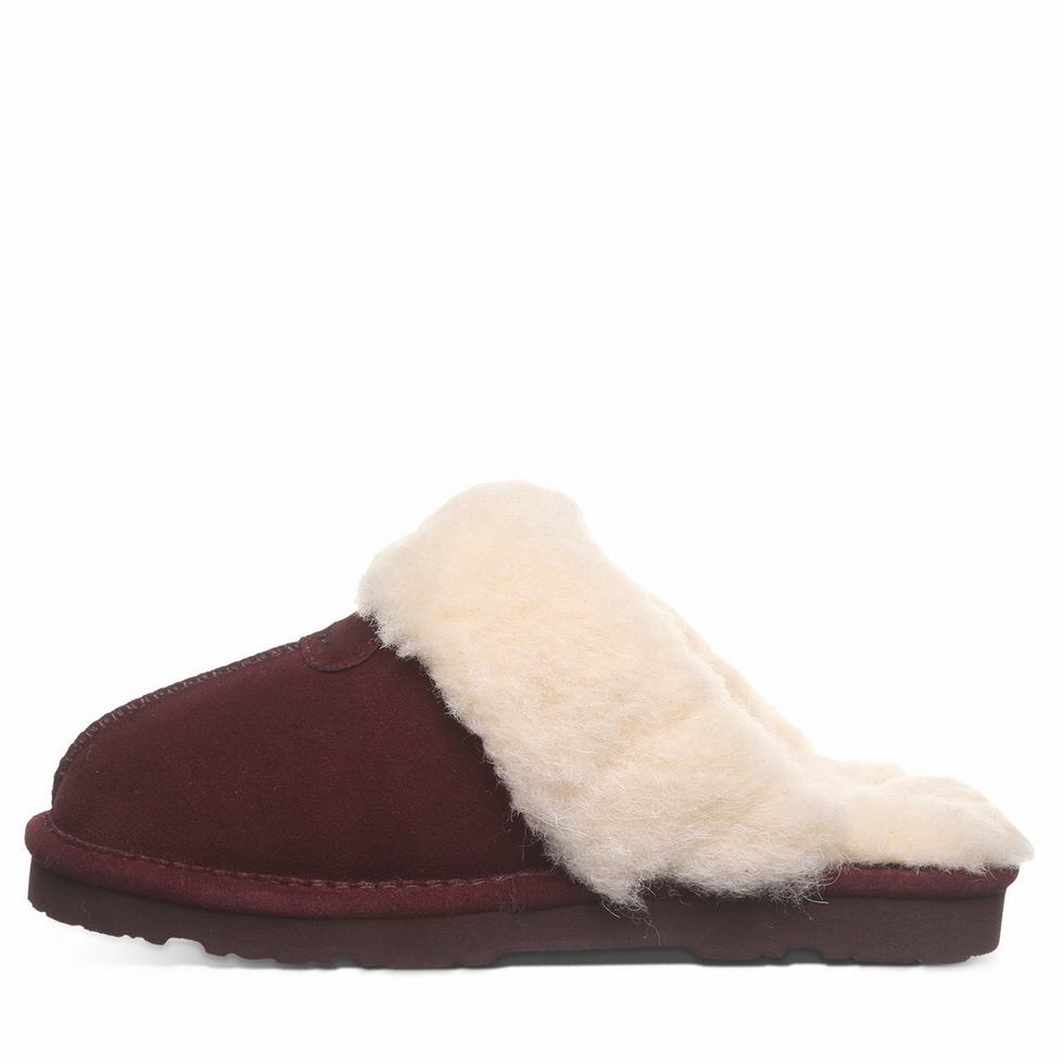 Pantuflas Bearpaw Loki II Mujer Moradas | IBY5632OZ