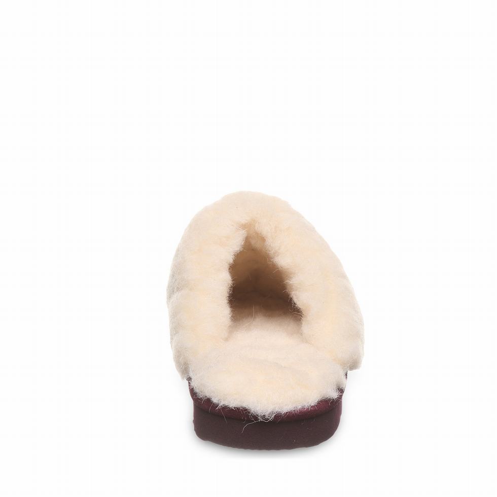 Pantuflas Bearpaw Loki II Mujer Moradas | IBY5632OZ