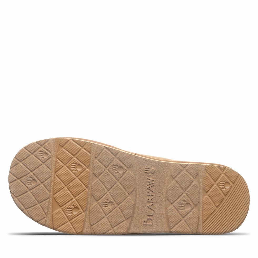 Pantuflas Bearpaw Martis Vegan Mujer Marrones | QHA878CJ