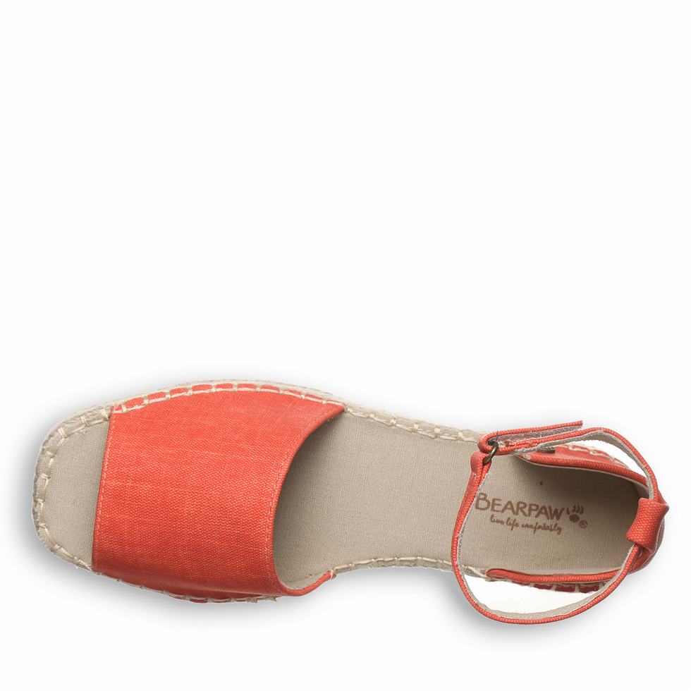 Sandalias Bearpaw Affogato Mujer Rosas | FNM1266YI