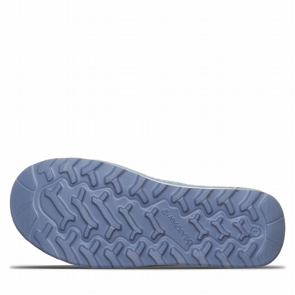 Sandalias Bearpaw Ascend Mujer Azules | JNM9632QJ