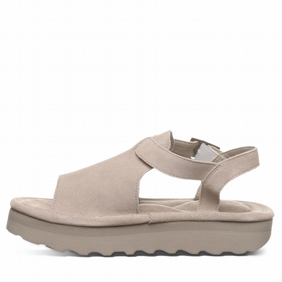 Sandalias Bearpaw Ascend Mujer Gris | OXE8127MN