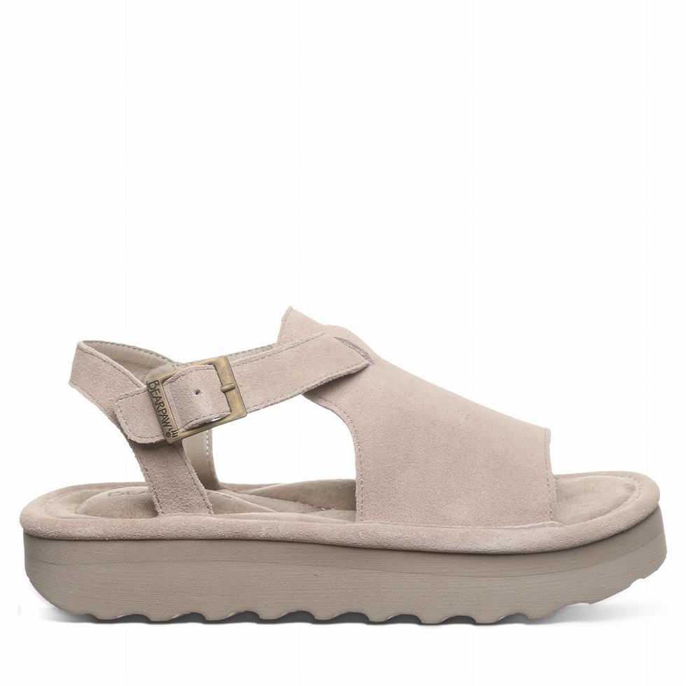 Sandalias Bearpaw Ascend Mujer Gris | OXE8127MN