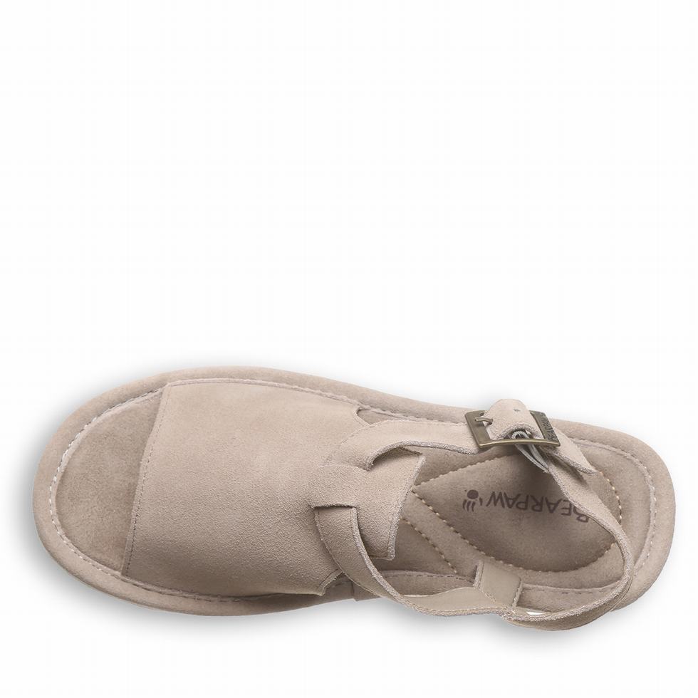 Sandalias Bearpaw Ascend Mujer Gris | OXE8127MN