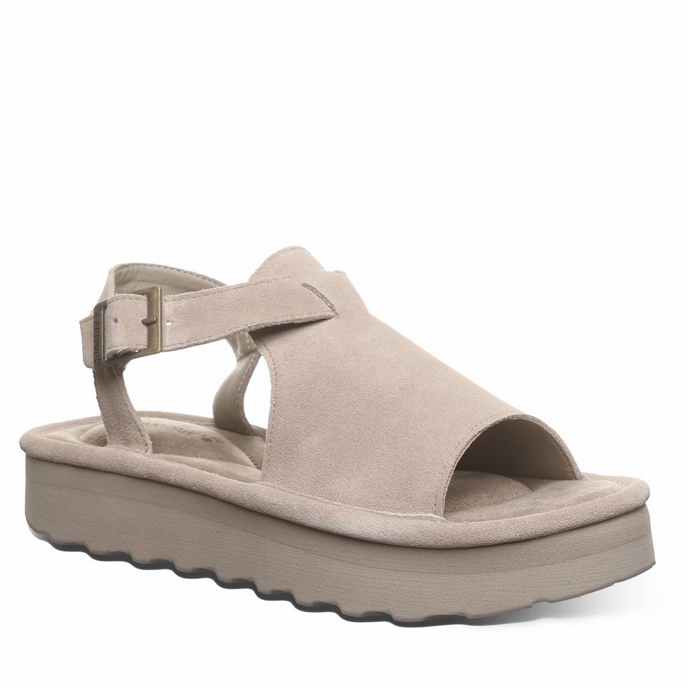 Sandalias Bearpaw Ascend Mujer Gris | OXE8127MN