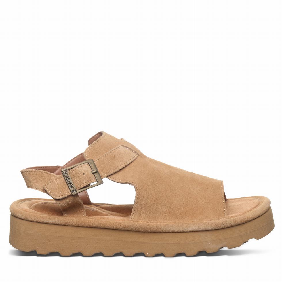 Sandalias Bearpaw Ascend Mujer Marrones | XEK4216JX