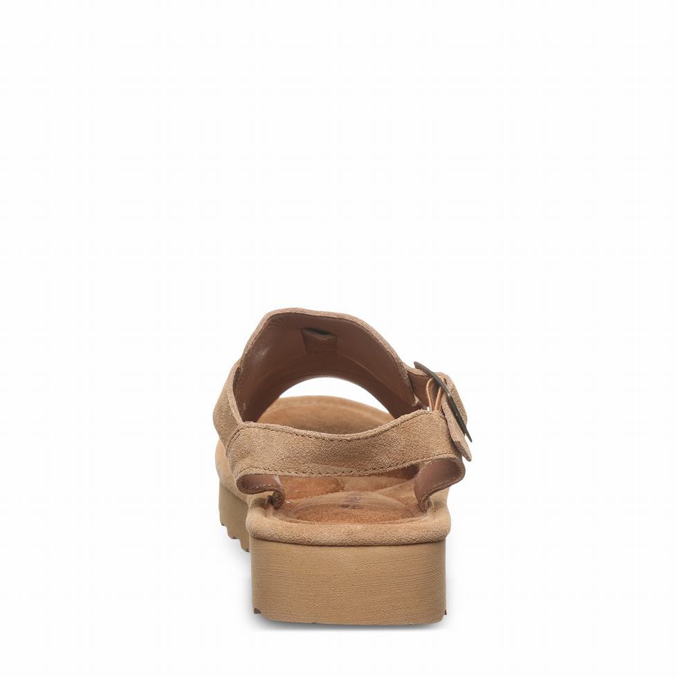 Sandalias Bearpaw Ascend Mujer Marrones | XEK4216JX