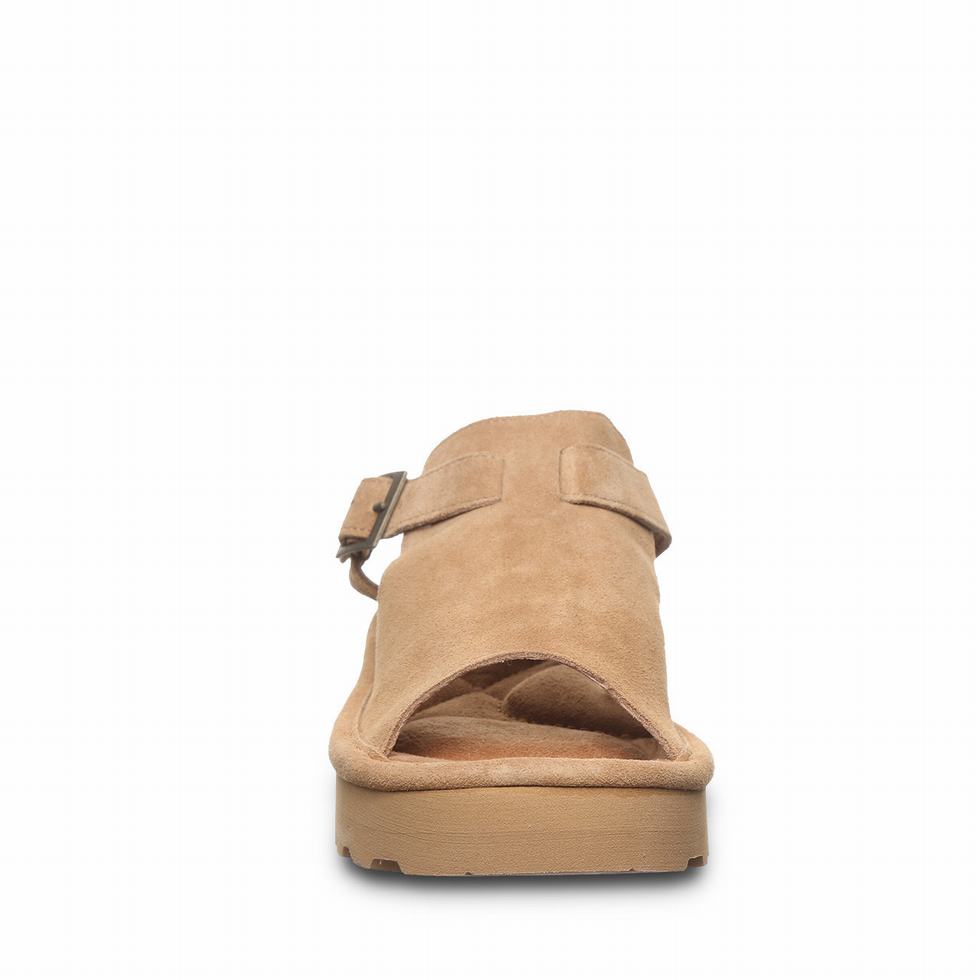 Sandalias Bearpaw Ascend Mujer Marrones | XEK4216JX