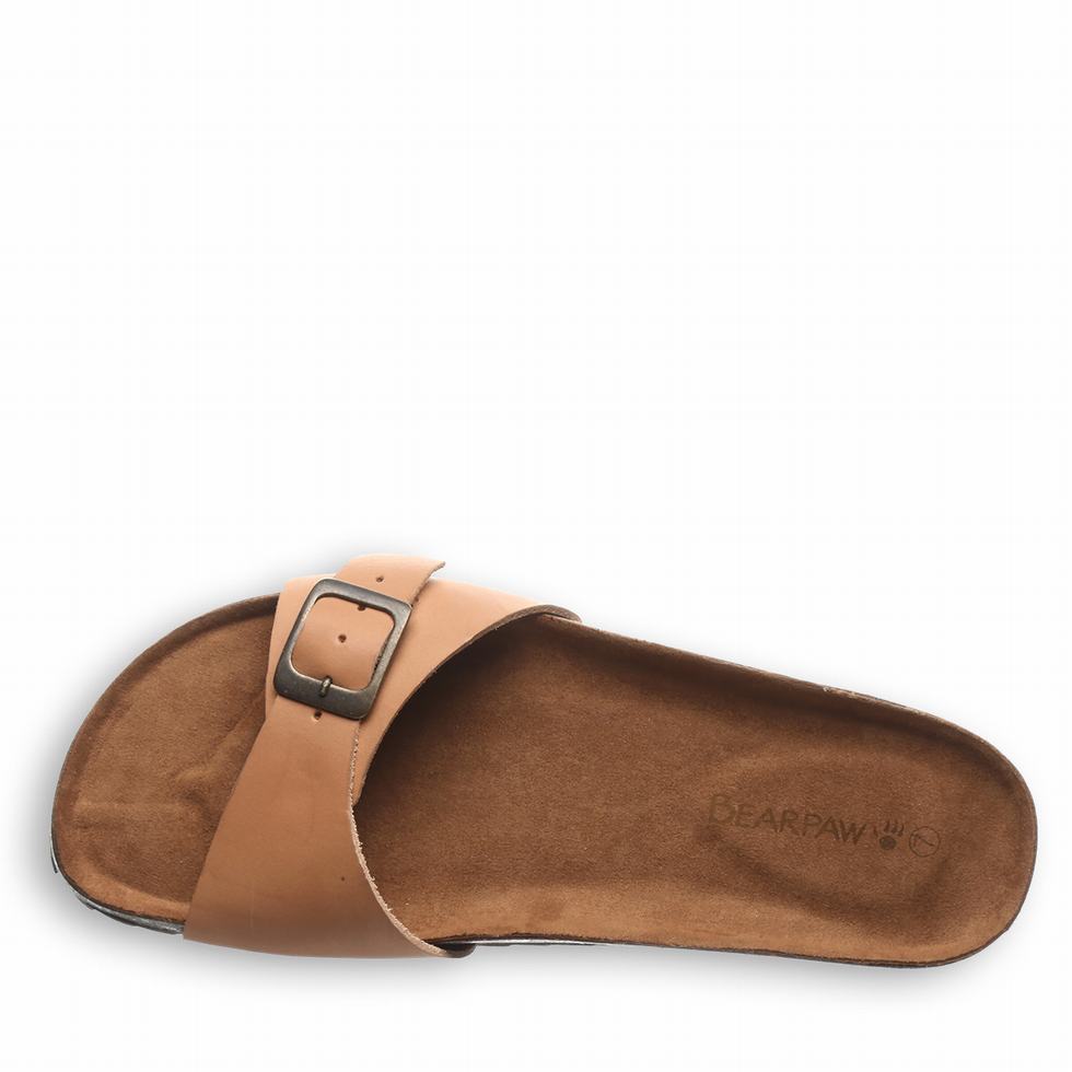 Sandalias Bearpaw Ava Mujer Marrones | LXW8440KD