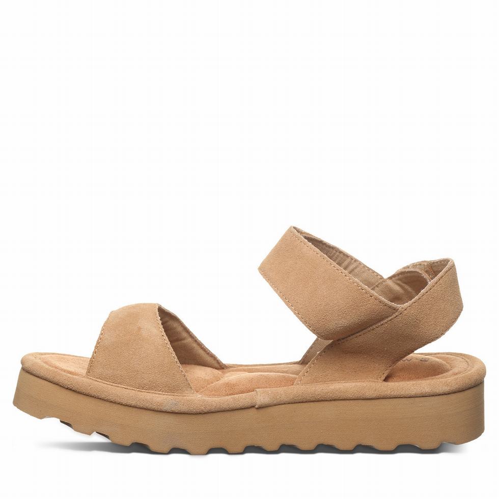 Sandalias Bearpaw Crest Mujer Marrones | QMY2023YJ