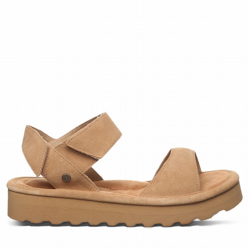 Sandalias Bearpaw Crest Mujer Marrones | QMY2023YJ