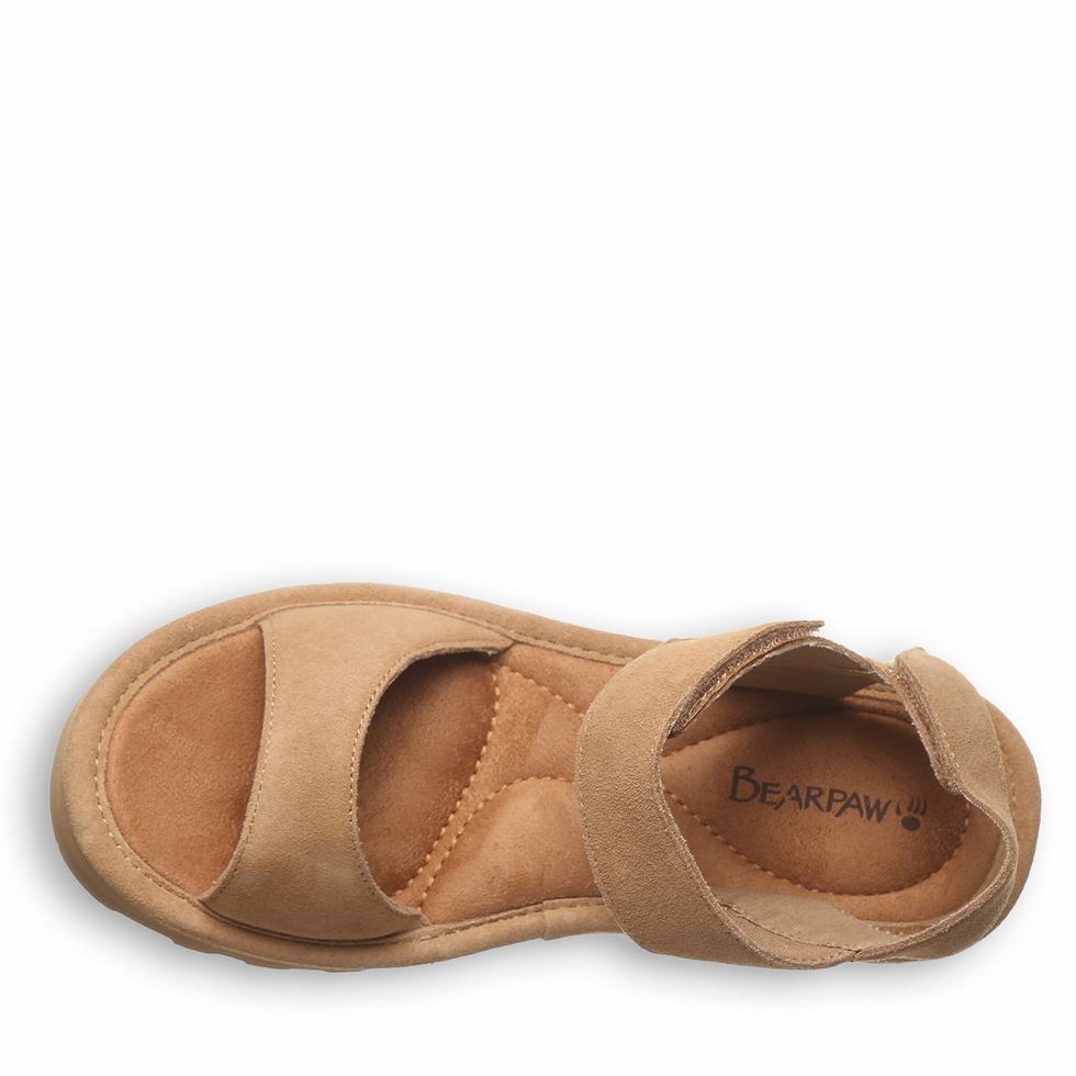 Sandalias Bearpaw Crest Mujer Marrones | QMY2023YJ