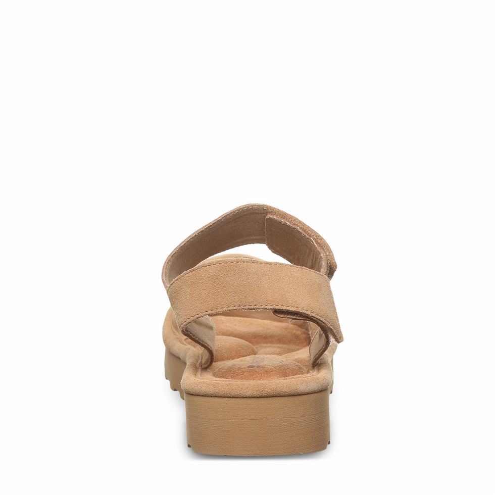 Sandalias Bearpaw Crest Mujer Marrones | QMY2023YJ