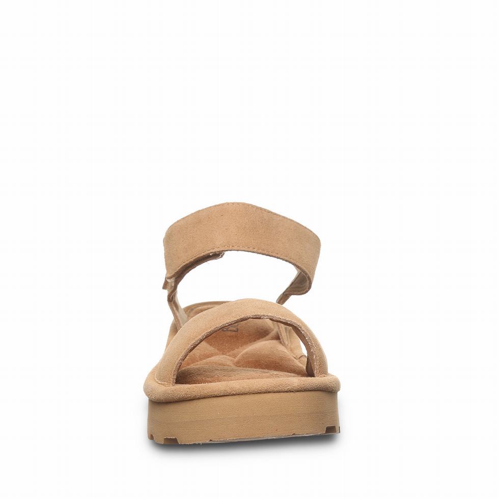 Sandalias Bearpaw Crest Mujer Marrones | QMY2023YJ