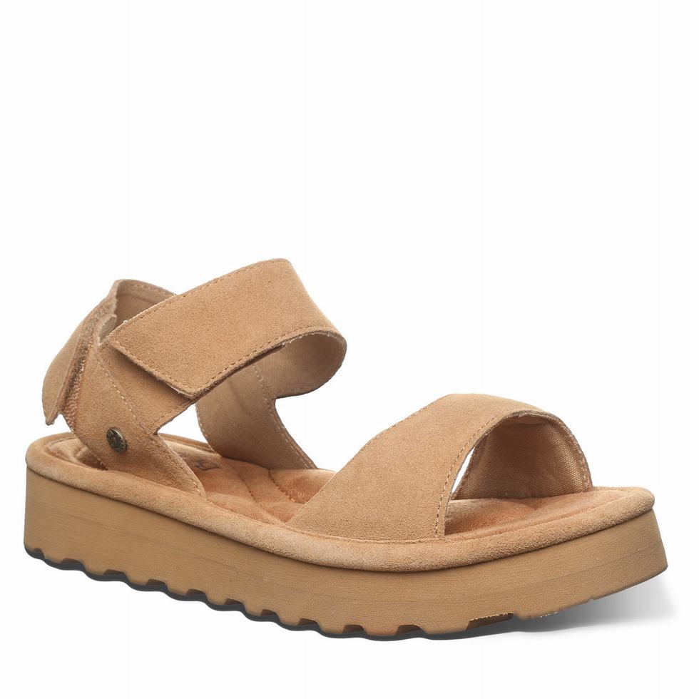 Sandalias Bearpaw Crest Mujer Marrones | QMY2023YJ