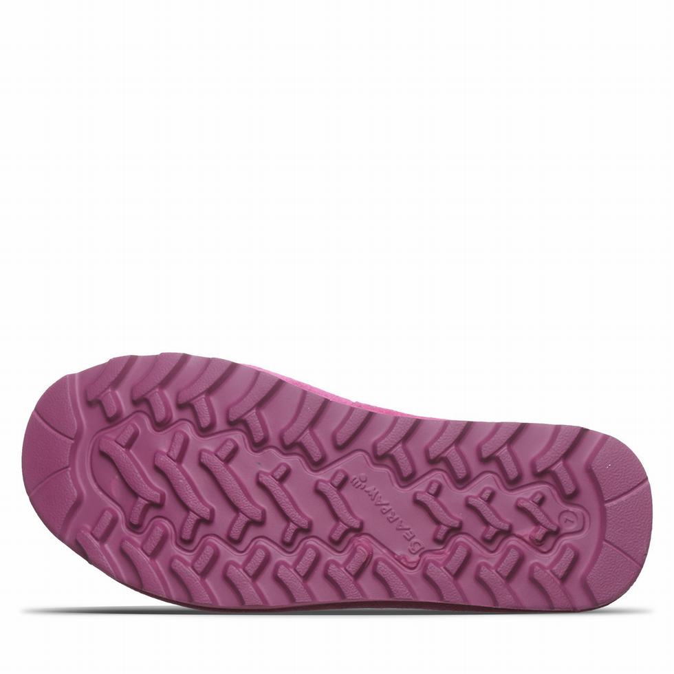 Sandalias Bearpaw Crest Mujer Moradas | AYS6035WZ