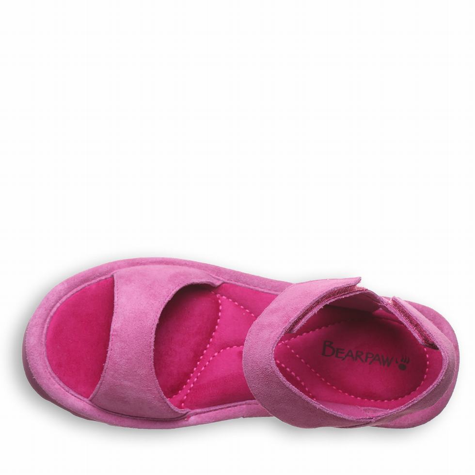 Sandalias Bearpaw Crest Mujer Moradas | AYS6035WZ