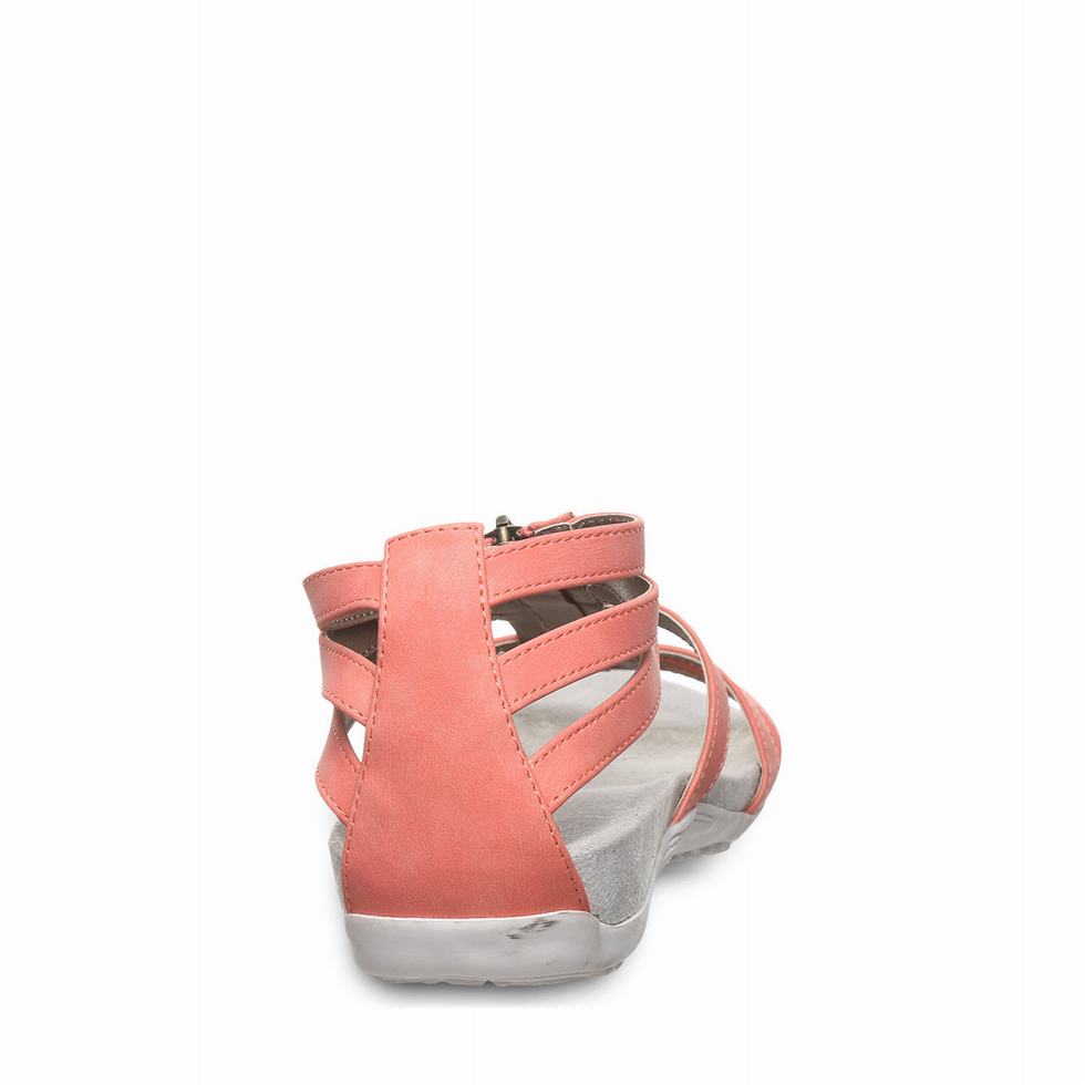 Sandalias Bearpaw Ronda Mujer Rosas | KME5226SV